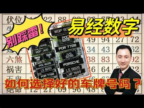 4位吉祥數字組合|最吉利發財的4位數字組合 熱門車牌號盤點